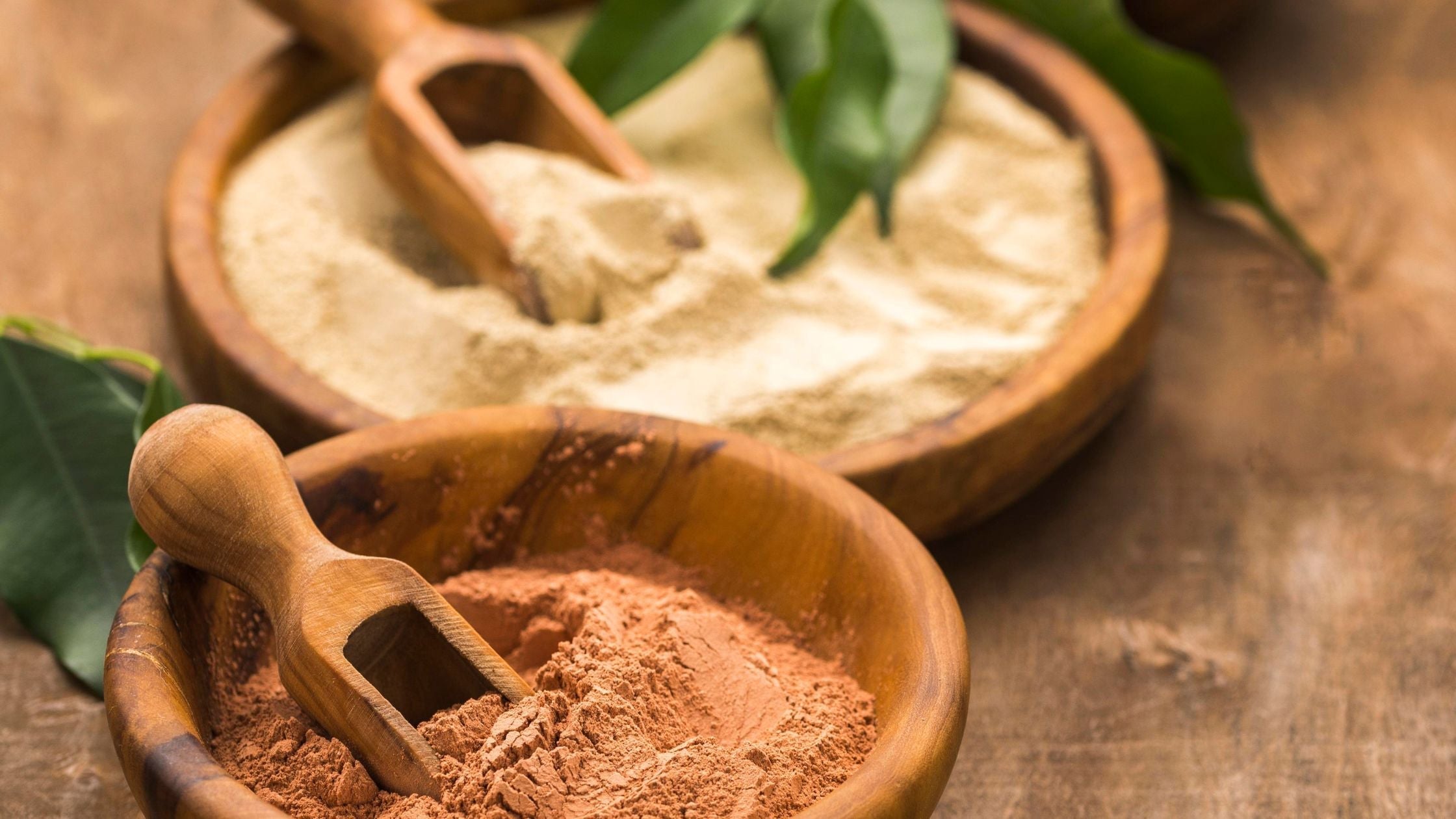 Ashwagandha para qué sirve: el adaptógeno que reduce el estrés, protege la piel y reequilibra el cuerpo desde adentro