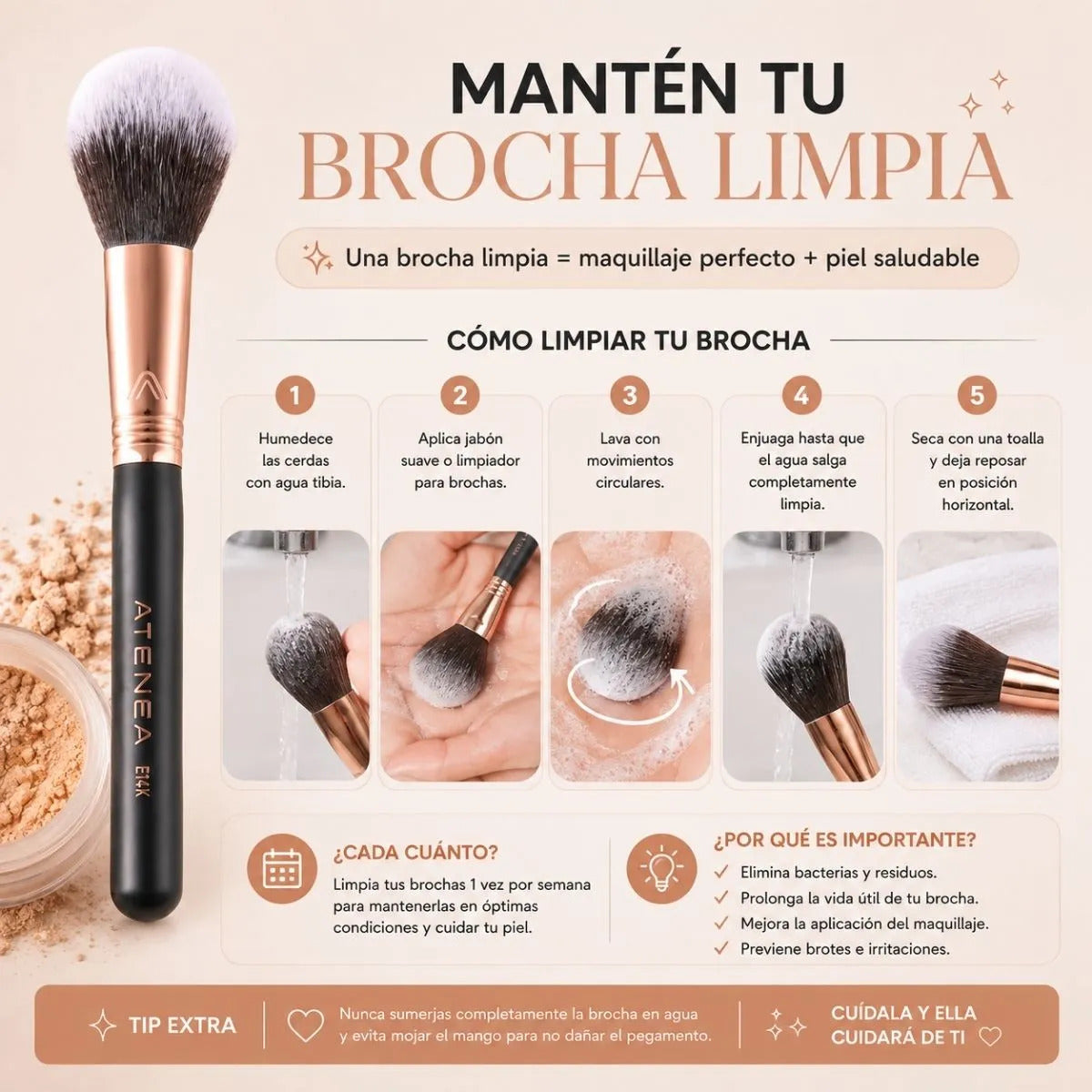 Mascarilla Arroz Exfoliante Facial Brochas Para Polvos