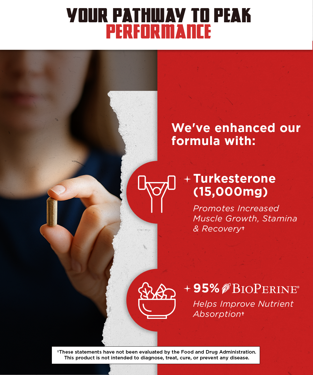Ingredientes Turkesterone Ajuga turkestanica Tongkat Ali