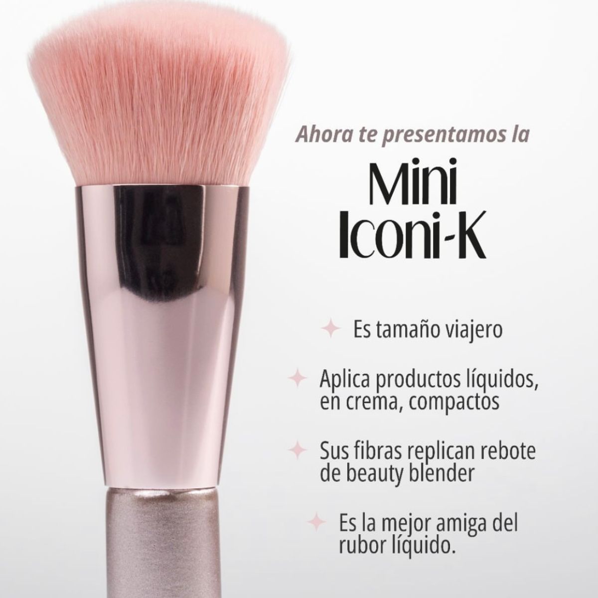 Brocha de maquillaje Mini Iconik Anik - Tamaño viajero profesional