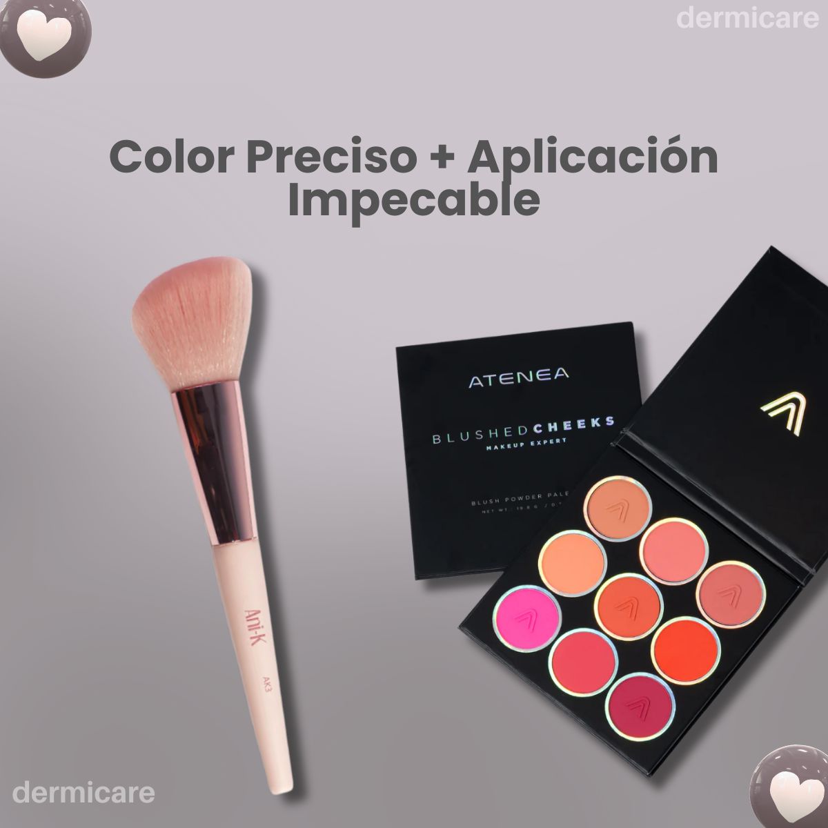 Paleta Rubores Blushed Cheeks 9 tonos + Brocha AK3 Anik