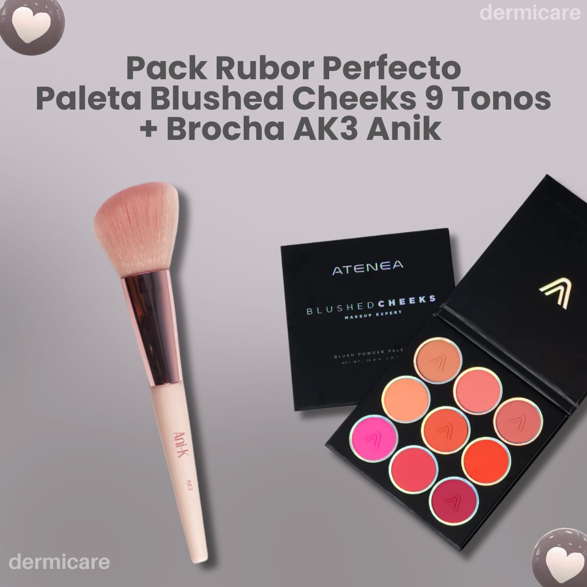 Paleta Rubores Blushed Cheeks 9 tonos + Brocha AK3 Anik