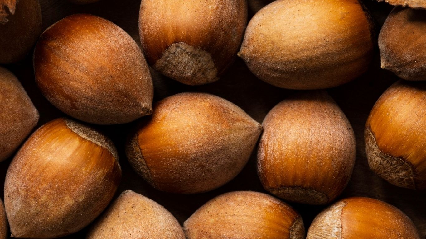 Karité: el oro dorado que repara, nutre y protege la piel como ningún otro ingrediente
