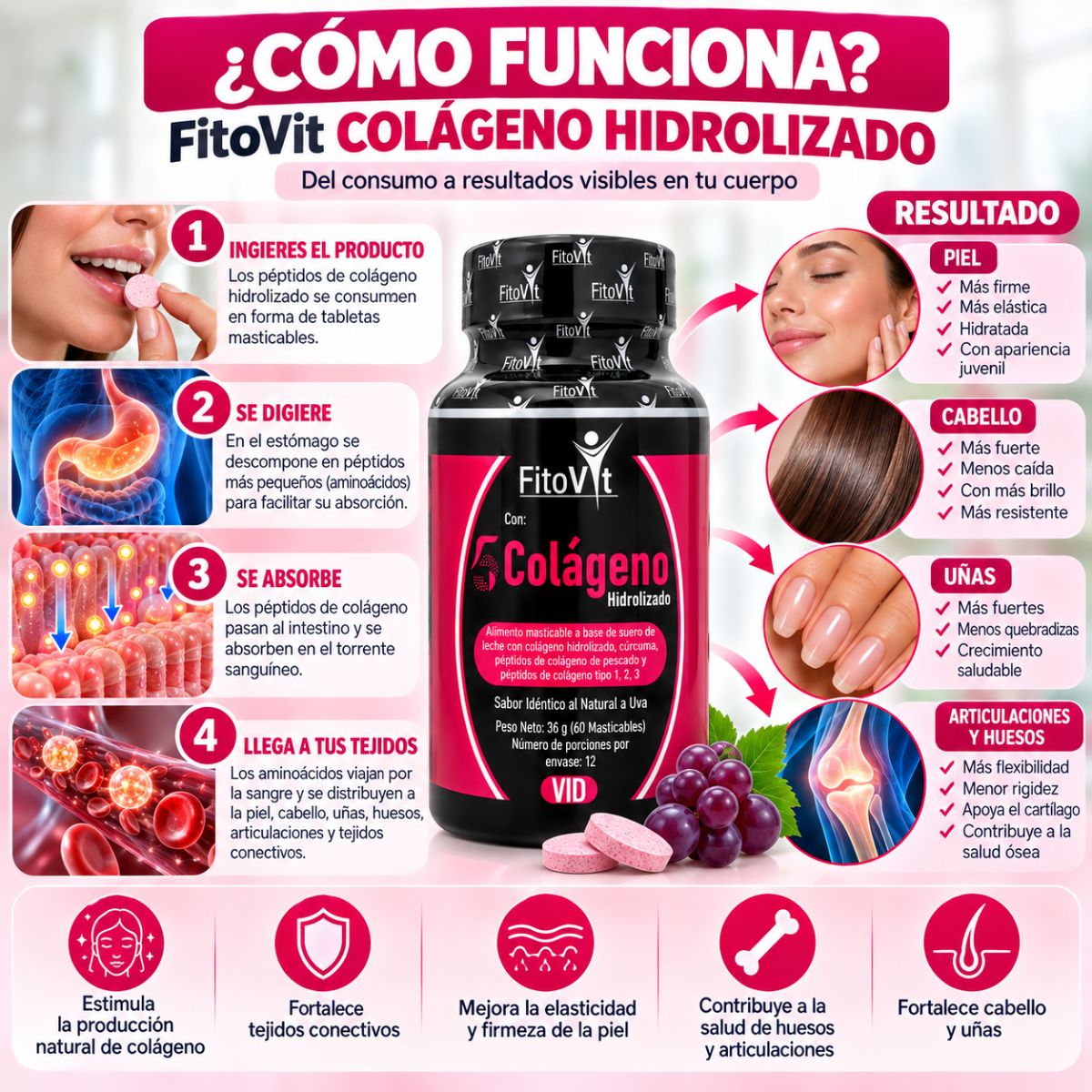 5 Colágenos FitoVit x60 capsulas tipos I II III V X suplemento piel articulaciones 