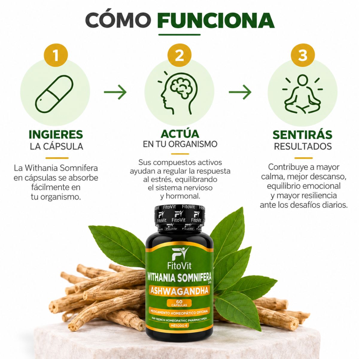 Ashwagandha FitoVit 500 mg • 60 Cápsulas • Adaptogen para el Estrés y el Descanso