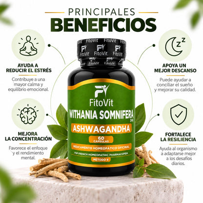 Ashwagandha FitoVit 500 mg • 60 Cápsulas • Adaptogen para el Estrés y el Descanso