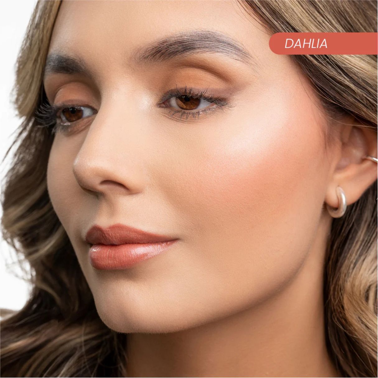 paleta-maquillaje-montoc